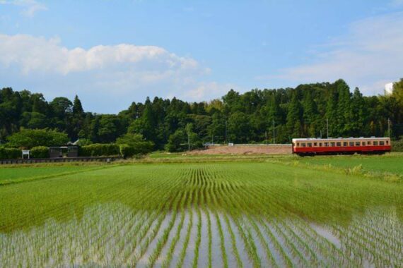 愛媛県